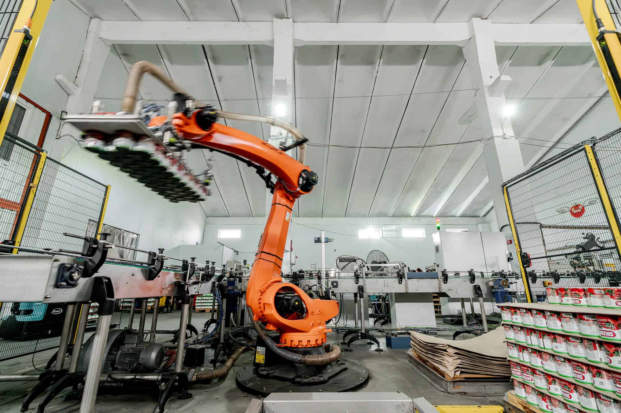 Linii automate de ambalare și paletizare, IESYS, automatizare industrială