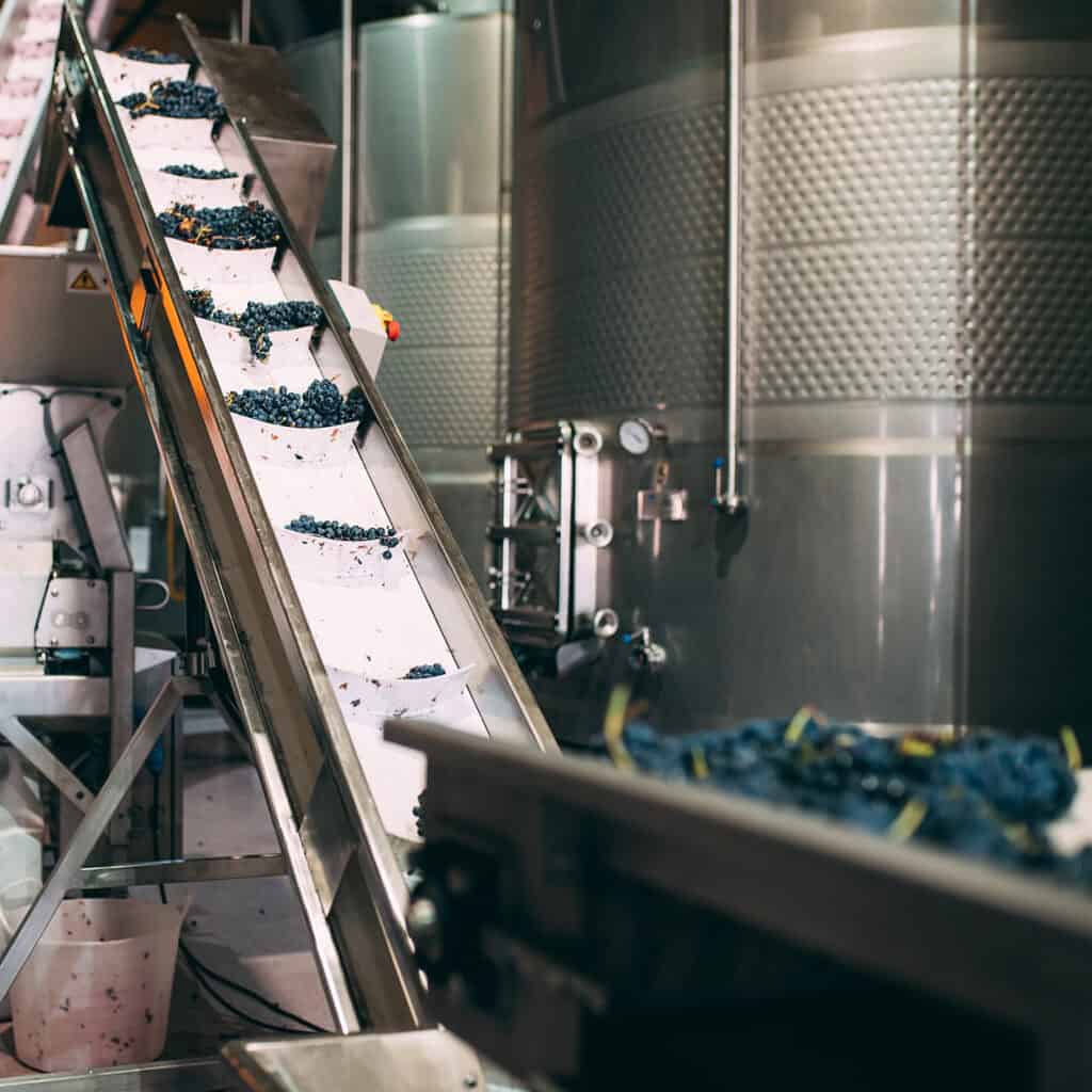 Automatizarea integrată a liniei de producție a vinului, proiecte IESYS